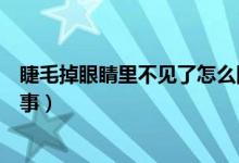 睫毛掉眼睛里不見了怎么回事（睫毛掉眼睛里不見了怎么回事）