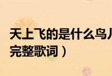 天上飛的是什么鳥(niǎo)兒還是云朵歌名(天籟之愛(ài)完整歌詞)