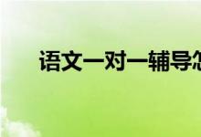語(yǔ)文一對(duì)一輔導(dǎo)怎么教（方法是什么）