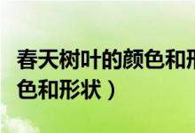 春天樹葉的顏色和形狀有哪些（春天樹葉的顏色和形狀）