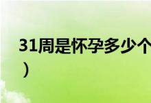 31周是懷孕多少個(gè)月啊（31周是懷孕幾個(gè)月）
