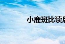小鹿斑比讀后感（小鹿斑比）