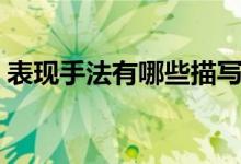 表現(xiàn)手法有哪些描寫方法（表現(xiàn)手法有哪些）