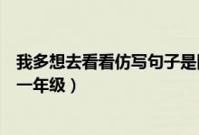 我多想去看看仿寫句子是因為什么（我多想去看看仿寫句子一年級）