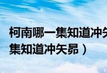 柯南哪一集知道沖矢昴是赤井秀一（柯南哪一集知道沖矢昴）
