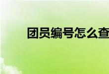 團員編號怎么查（團員編號怎么查）
