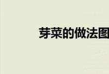 芽菜的做法圖片（芽菜的做法）