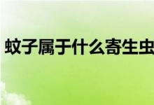 蚊子屬于什么寄生蟲（蚊子屬于什么類動物）