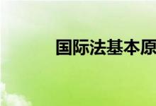 國(guó)際法基本原則（有什么作用）