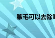 腋毛可以去除嗎（腋毛可以刮嗎）