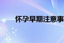 懷孕早期注意事項(xiàng)（20個(gè)注意事項(xiàng)）