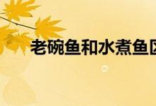 老碗魚和水煮魚區(qū)別（老碗魚怎么做）