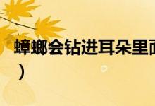 蟑螂會(huì)鉆進(jìn)耳朵里面嗎（蟑螂會(huì)鉆進(jìn)耳朵里嗎）