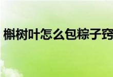 槲樹(shù)葉怎么包粽子竅門(mén)（槲樹(shù)葉怎么包粽子）