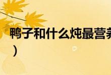 鴨子和什么燉最營(yíng)養(yǎng)（鴨子和什么燉最有營(yíng)養(yǎng)）