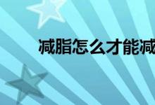 減脂怎么才能減肥（如何科學(xué)減肥）