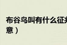 布谷鳥叫有什么征兆晚上（布谷鳥叫有什么寓意）