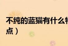 不純的藍(lán)貓有什么特征（不純的藍(lán)貓有什么特點）