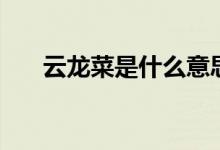 云龍菜是什么意思（云龍菜是蕨菜嗎）