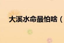 大溪水命最怕啥（大溪水命的命運如何）