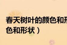 春天樹葉的顏色和形狀有哪些（春天樹葉的顏色和形狀）