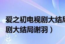 愛(ài)之初電視劇大結(jié)局謝羽的結(jié)局（愛(ài)之初電視劇大結(jié)局謝羽）