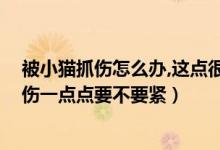被小貓抓傷怎么辦,這點很重要,聽聽專家怎么說（被小貓抓傷一點點要不要緊）