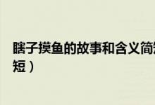 瞎子摸魚的故事和含義簡短(關(guān)于瞎子摸魚的故事和含義簡短)