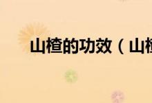 山楂的功效（山楂的功效與作用介紹）