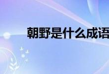 朝野是什么成語（朝野是什么意思）
