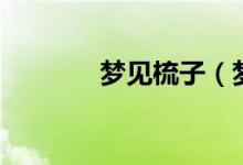 夢(mèng)見(jiàn)梳子（夢(mèng)見(jiàn)梳子好不好）