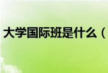 大學(xué)國(guó)際班是什么（大學(xué)國(guó)際班是什么意思）