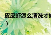 皮皮蝦怎么清洗才好（皮皮蝦怎么清洗和處理）