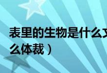 表里的生物是什么文學(xué)體裁（表里的生物是什么體裁）
