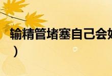 輸精管堵塞自己會(huì)好嗎（輸精管堵塞有感覺嗎）