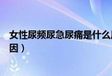 女性尿頻尿急尿痛是什么原因（女性尿頻尿急尿痛是什么原因）