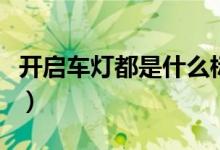 開啟車燈都是什么標志(燈的圖標分別是什么)