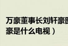 萬(wàn)豪董事長(zhǎng)劉軒豪圖片（萬(wàn)豪集團(tuán)董事長(zhǎng)劉軒豪是什么電視）