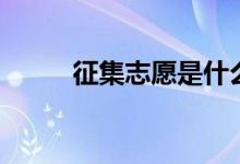 征集志愿是什么意思（如何填報）