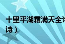 十里平湖霜滿天全詩(shī)繁體(十里平湖霜滿天全詩(shī))