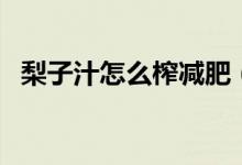 梨子汁怎么榨減肥（梨子汁怎么榨才好喝）