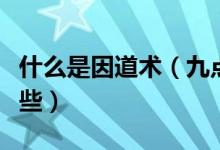 什么是因道術(shù)（九點領(lǐng)導(dǎo)力的主要內(nèi)容包括哪些）