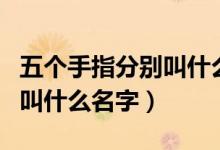 五個手指分別叫什么名字英文（五個手指分別叫什么名字）