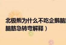 北極熊為什么不吃企鵝腦筋急轉(zhuǎn)彎(北極熊為什么不吃企鵝腦筋急轉(zhuǎn)彎解釋)