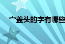 宀蓋頭的字有哪些（寶蓋頭的字有什么）