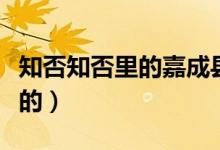 知否知否里的嘉成縣主（知否嘉成縣主誰扮演的）