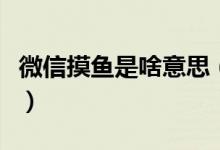 微信摸魚是啥意思（微信狀態(tài)摸魚是什么意思）