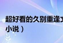 超好看的久別重逢文（有沒有好看的久別重逢小說）