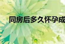 同房后多久懷孕成功（同房后多久懷孕）