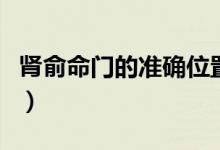 腎俞命門的準(zhǔn)確位置圖（腎俞命門的準(zhǔn)確位置）
